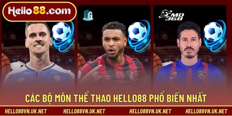 Các bộ môn thể thao Hello88 phổ biến nhất