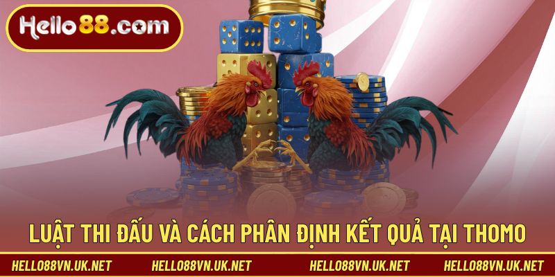 Luật thi đấu và cách phân định kết quả tại Thomo