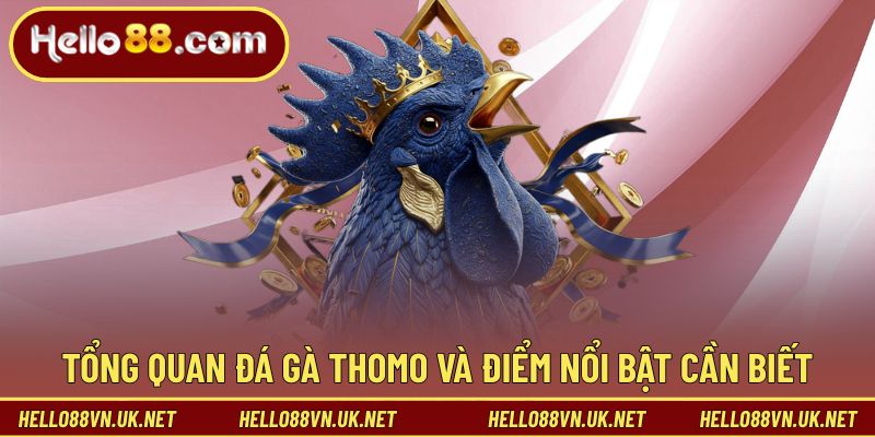 Tổng quan đá gà Thomo và điểm nổi bật cần biết